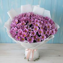 Букет цветов из:  Хризантемы #REPLACE_PRED# Атаманской